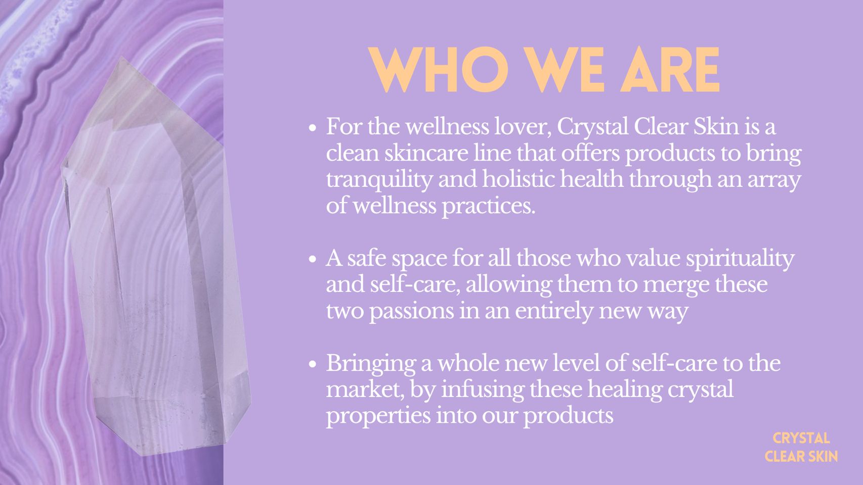 Crystal Clear Skin class project Who We Are slide