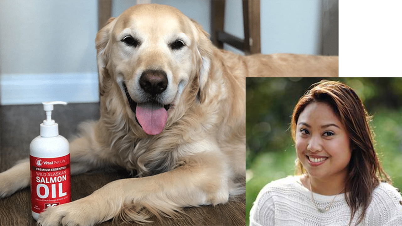 Grad Selected as Tory Burch Foundation Fellow To Grow Her Business Vital Pet Life
