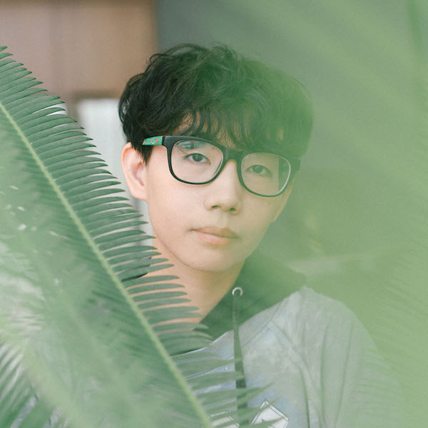 A soft focus image of Shuihan Ding captured between large green leaves